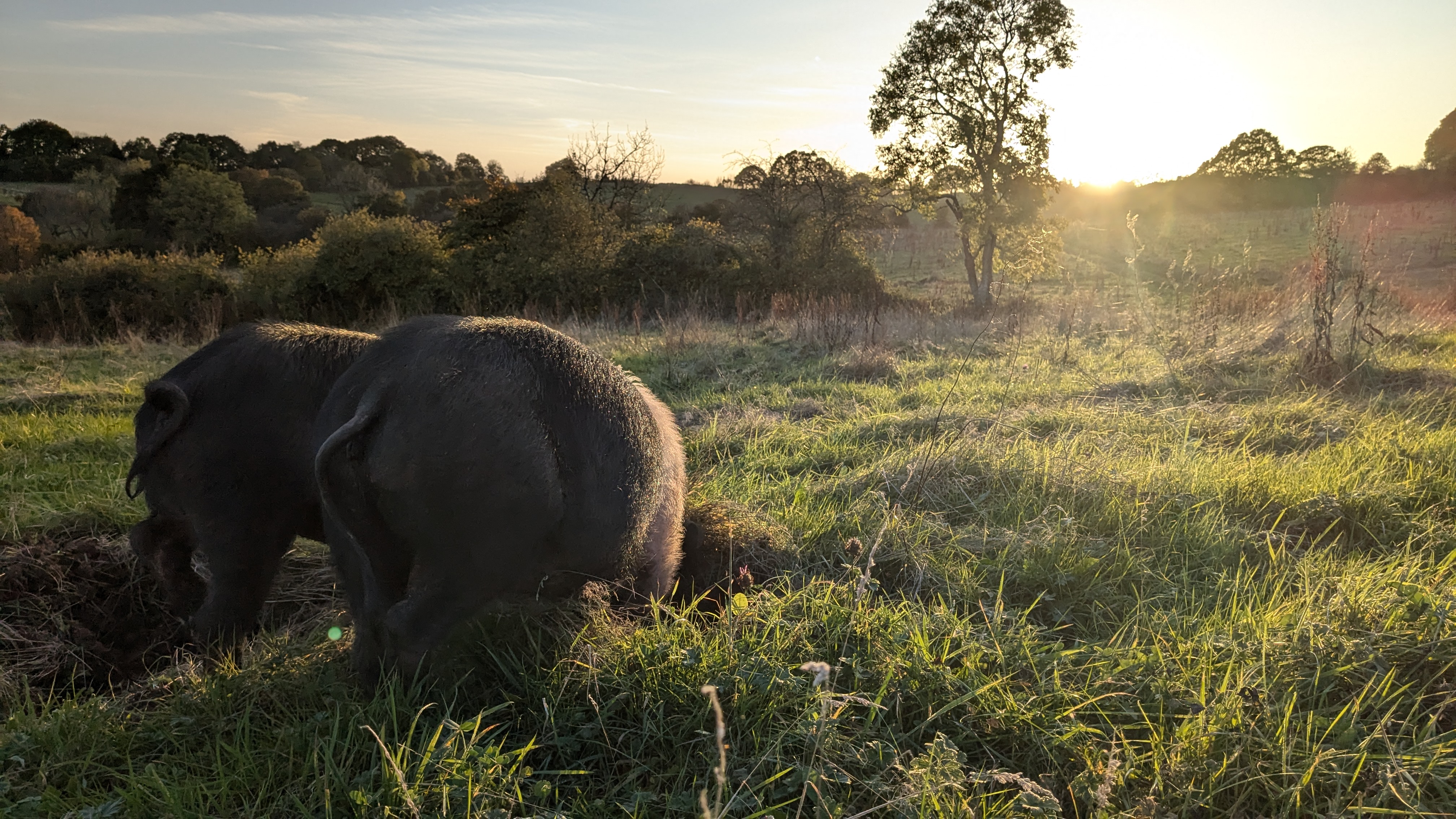 Grange Project Open Morning October