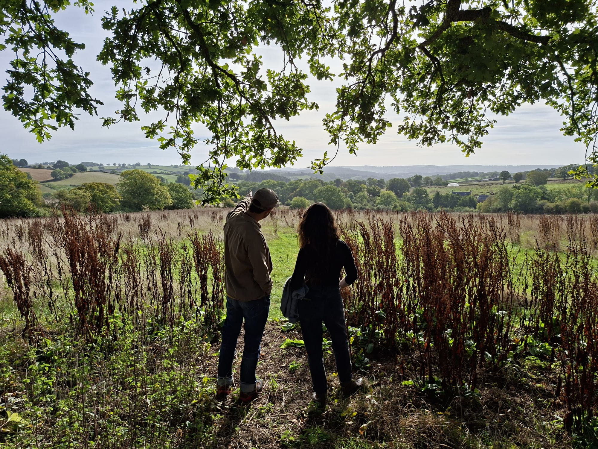 Change the Story, Shift the System: a free Wilder Citizens workshop